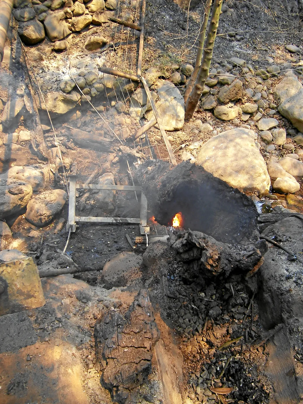Jesusita Fire, burning stump 3 days after fire