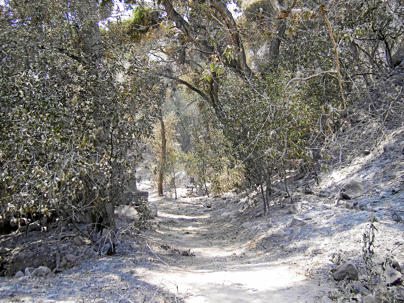 Jesusita Fire, damage in the Canyon
