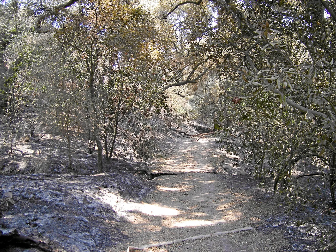 Jesusita Fire, damage in the Canyon