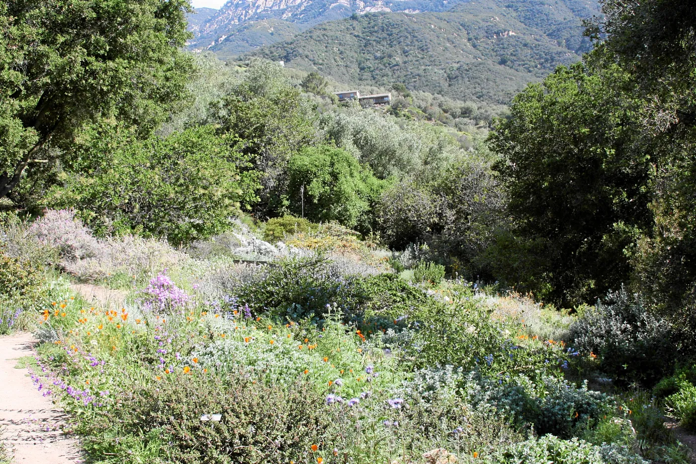 Porter Trail, East path, northeast