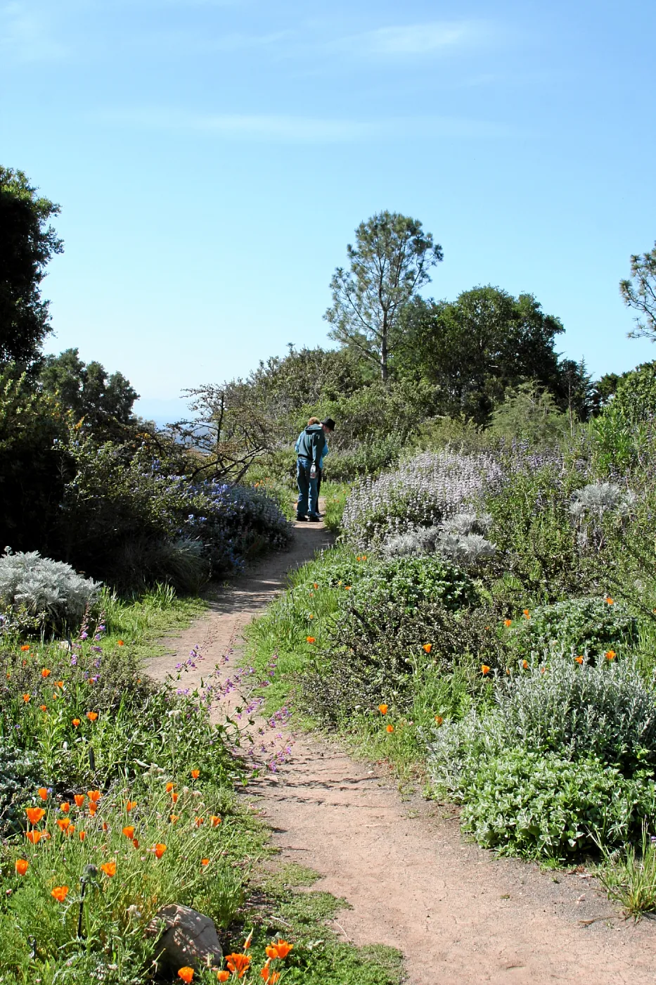 Porter Trail,East path south