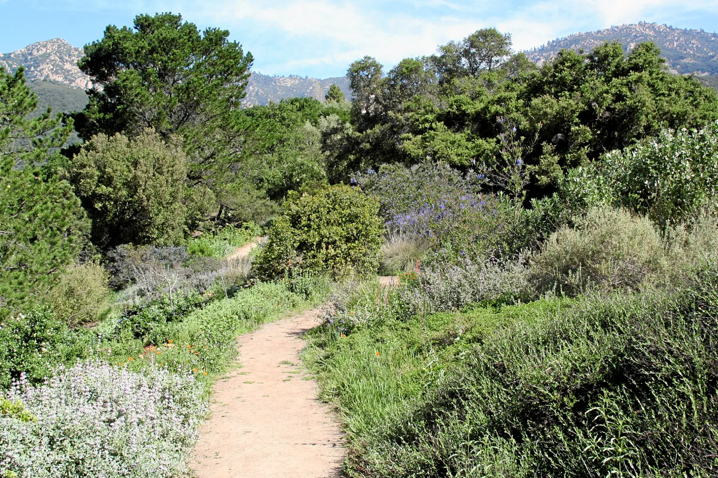 Porter Trail, West path north