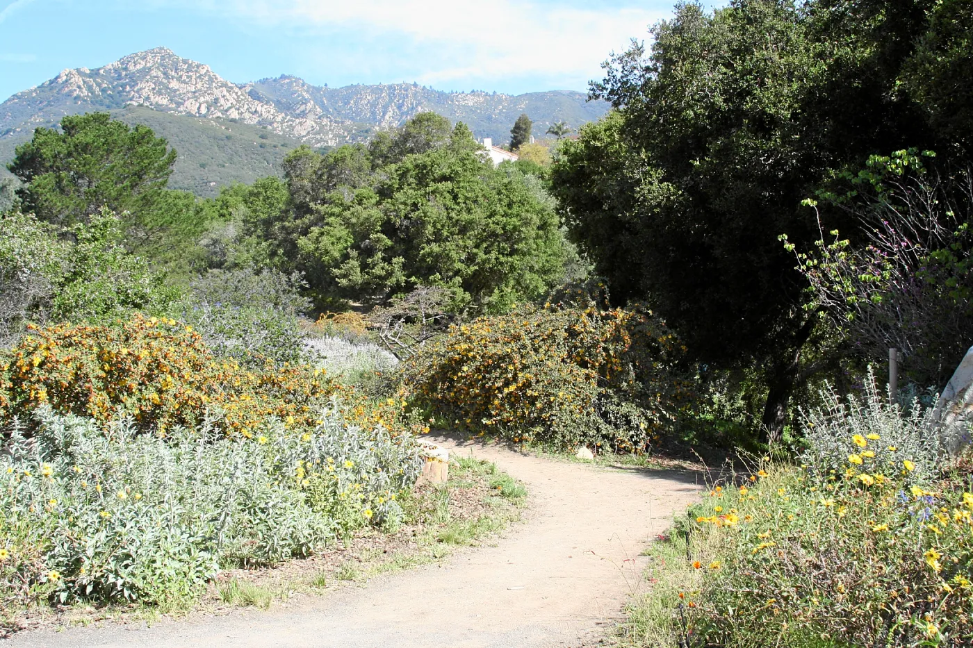 Porter Trail, wooden north gate