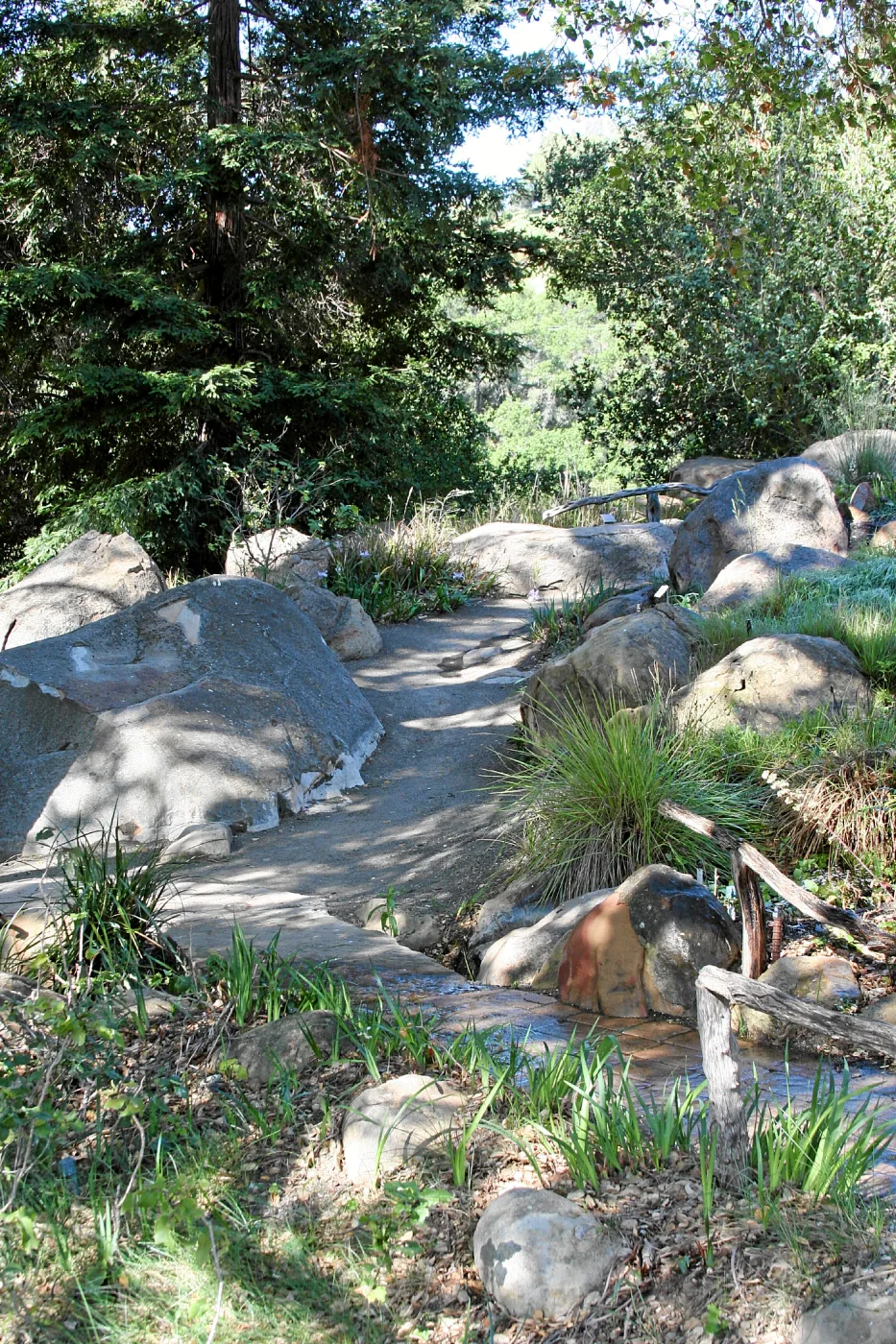 Meadow, Pond path stone bridge, west