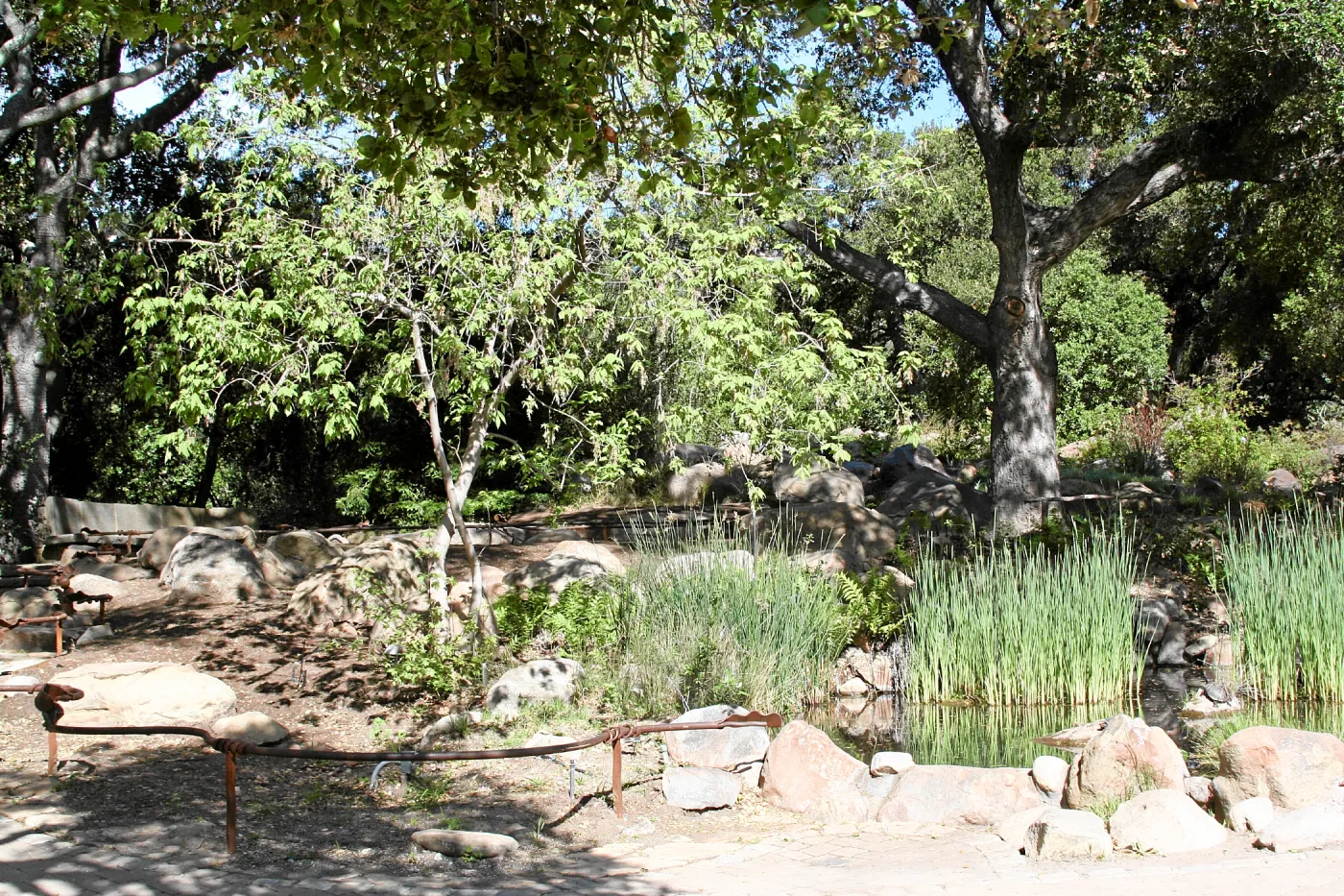 Meadow, Pond from main path, northwest
