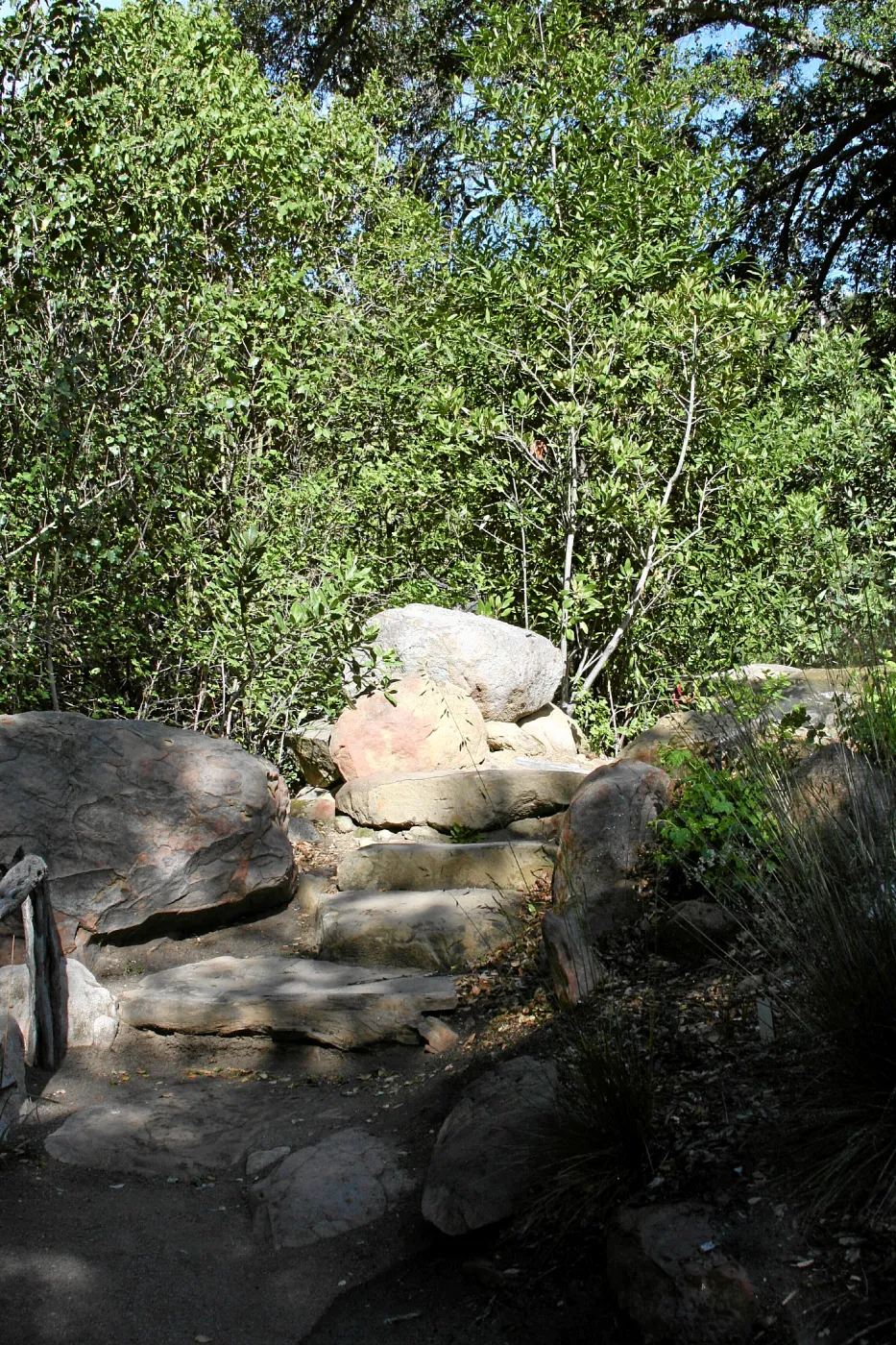 Meadow, stone steps