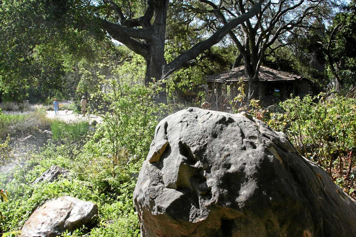 Brook,across display southeast