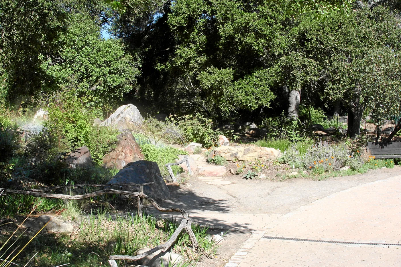 Meadow,Main path, northwest