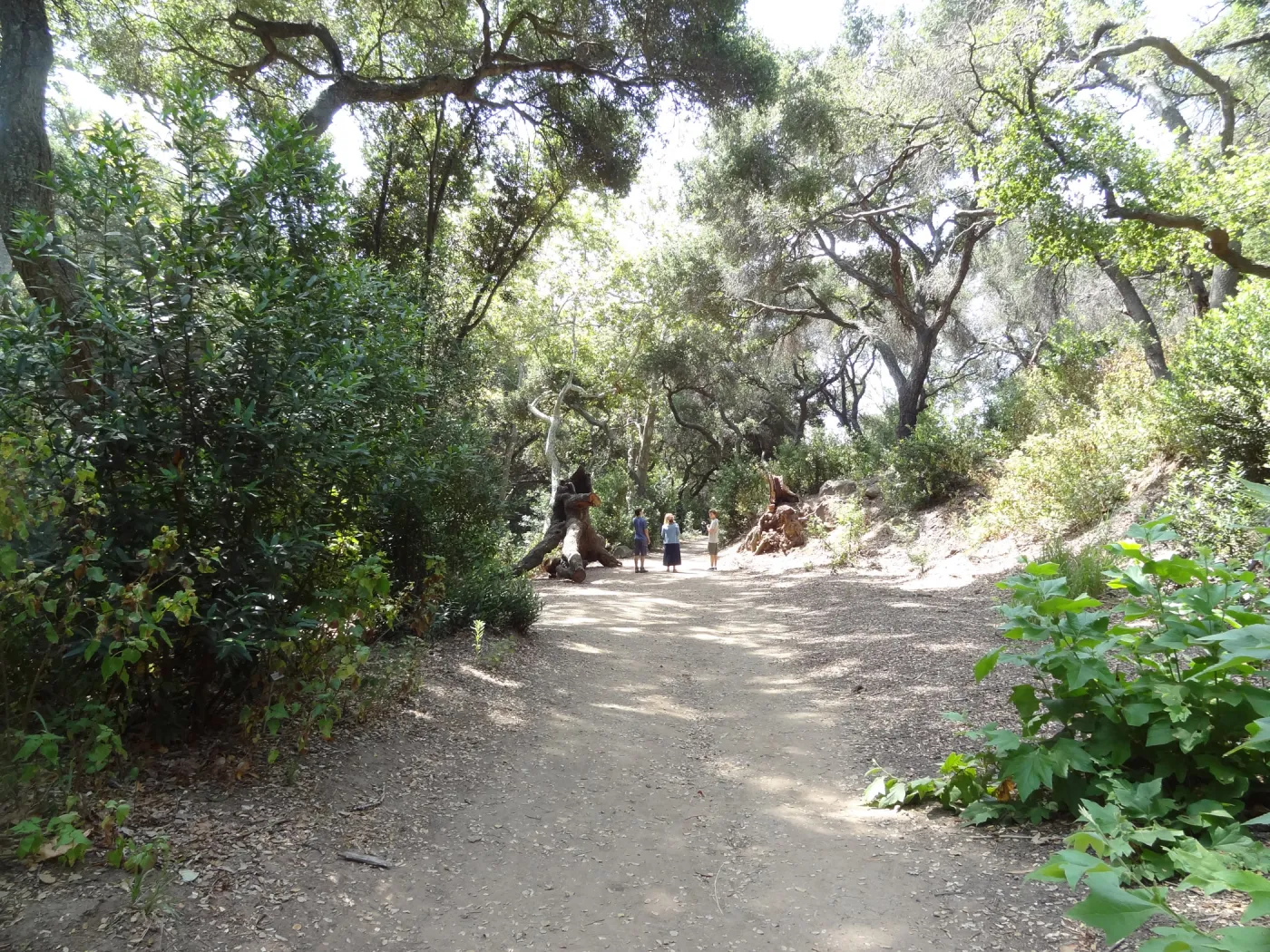 walking on the Canyon Trail, Danny Kelly and Patterson Jaffurs (summer interns) and Betsy Collins