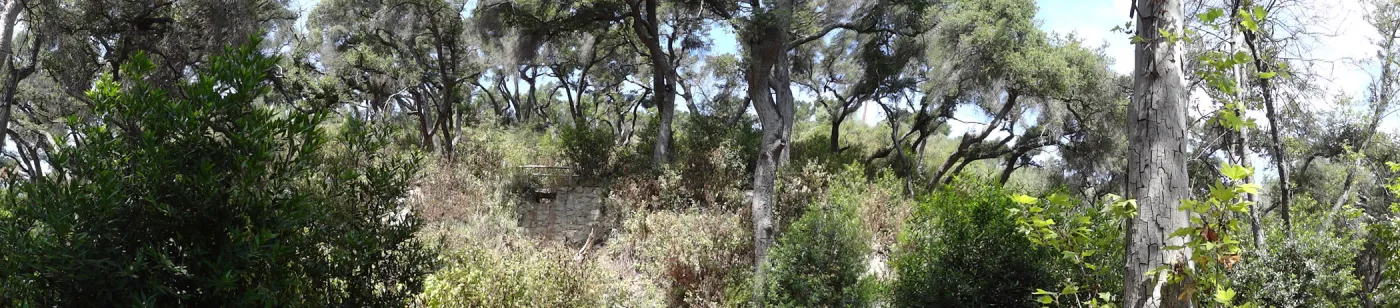 Canyon Trail, panorama