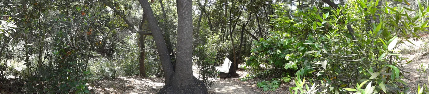 wood bench, Canyon Trail, panorama