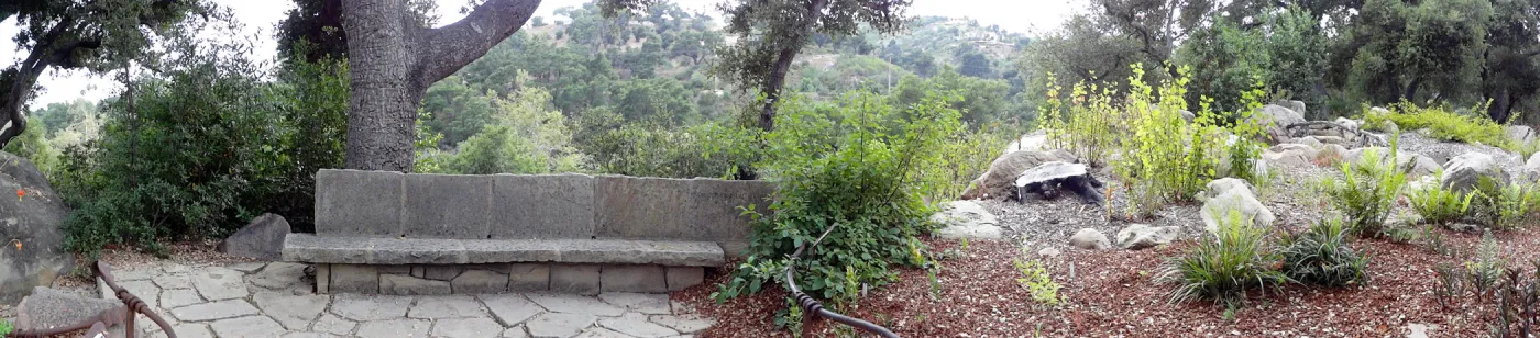 stone bench, Orchid Display, panorama