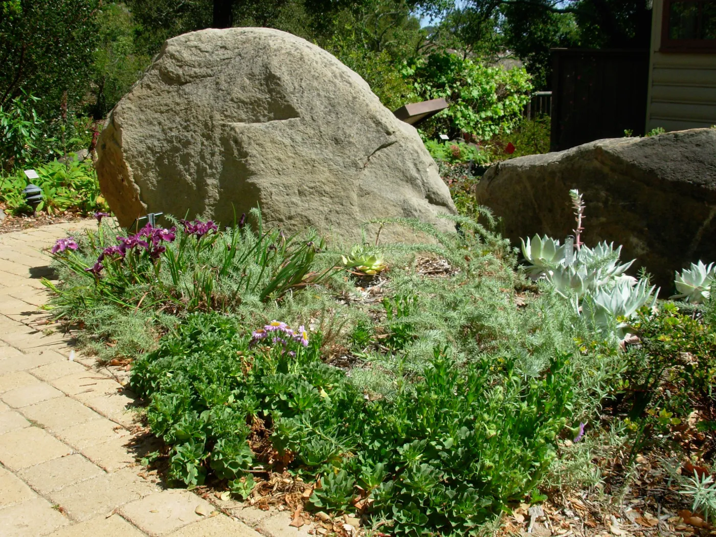 Home Demonstration Garden, SBBG
