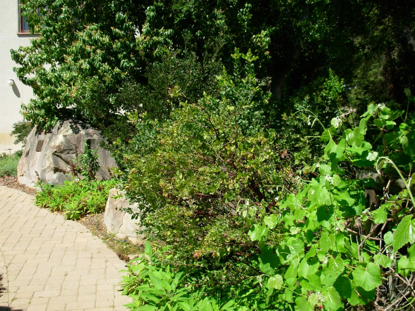 Home Demonstration Garden, SBBG