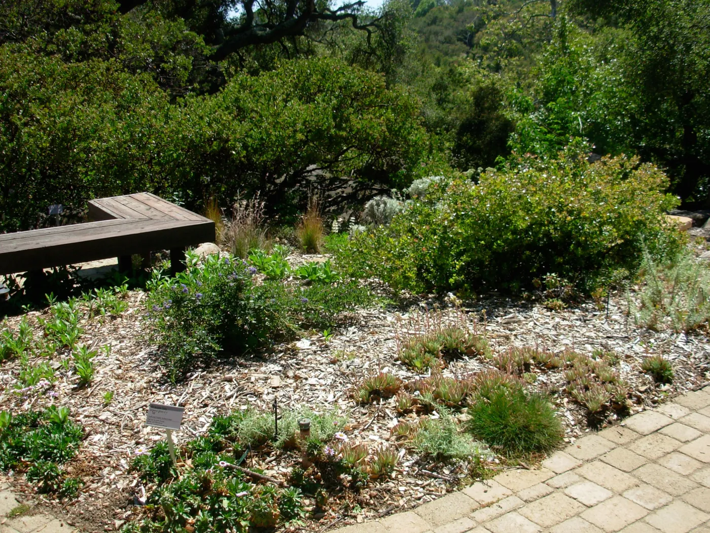 Home Demonstration Garden, SBBG
