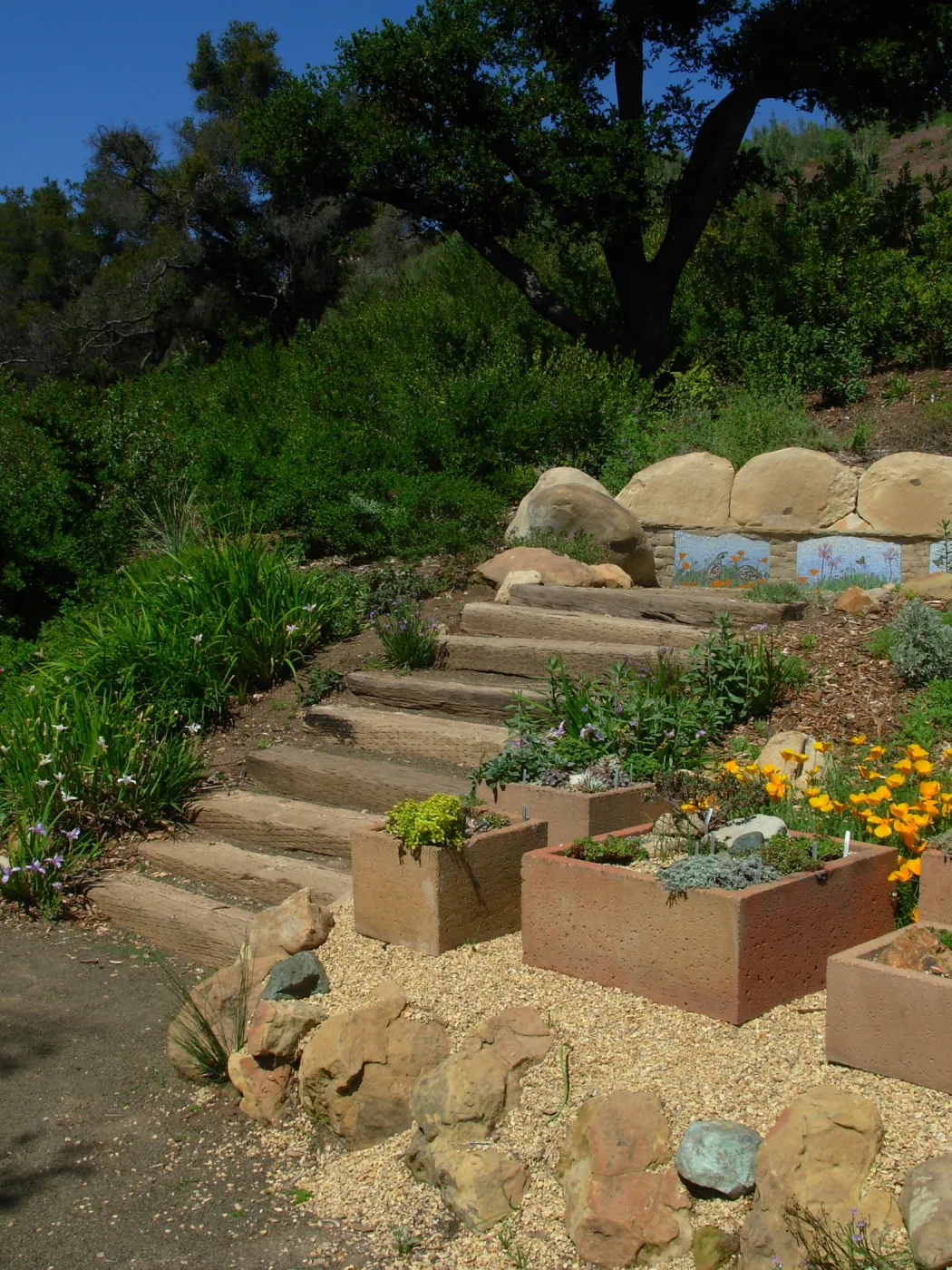 trough display garden, Meadow View, SBBG, mosaic on stone bench
