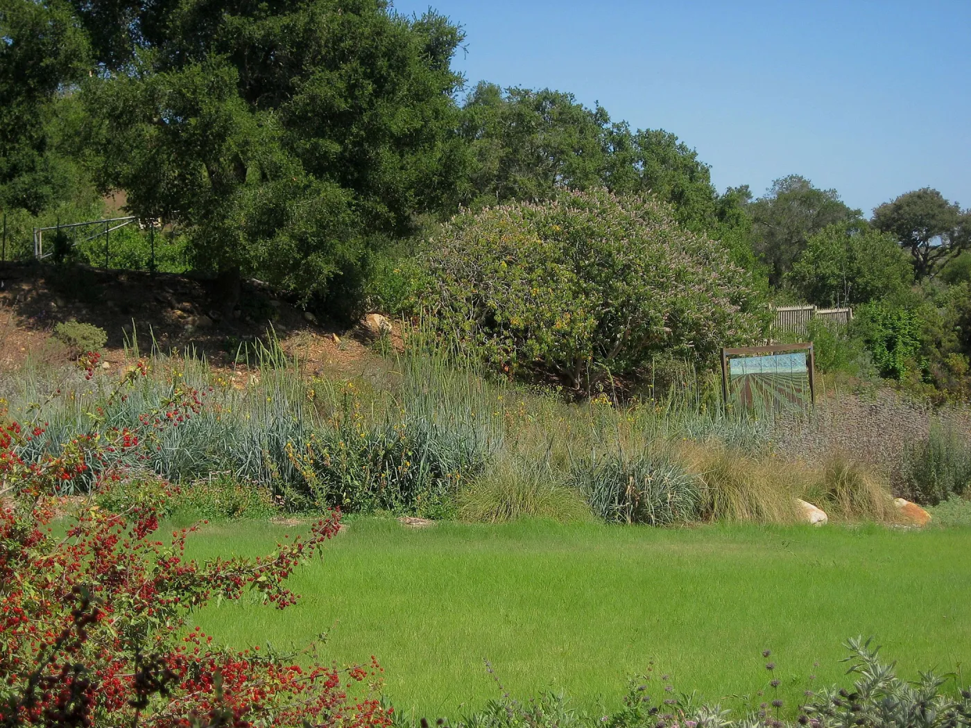 Meadow lawn, stained glass art exhibit