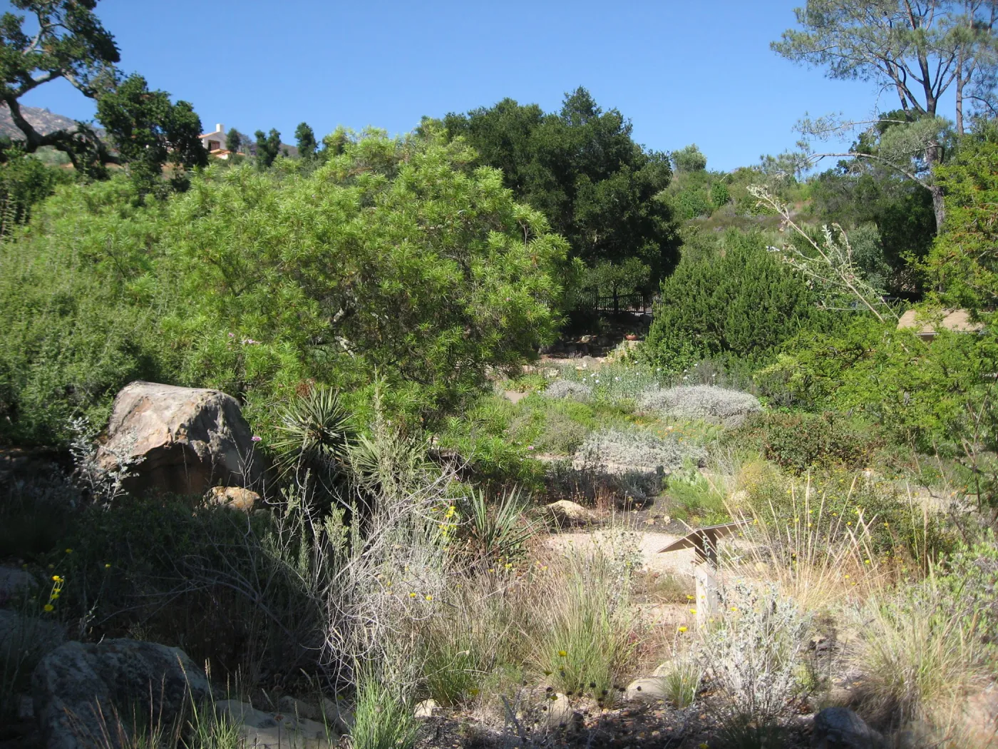 Desert Section