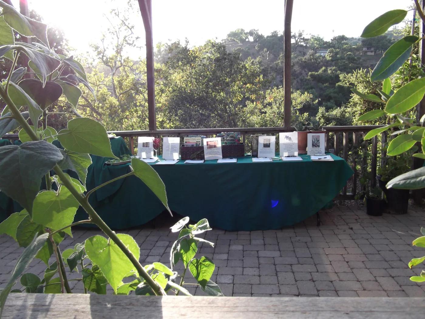 SBBG Fall Plant Sale 2010