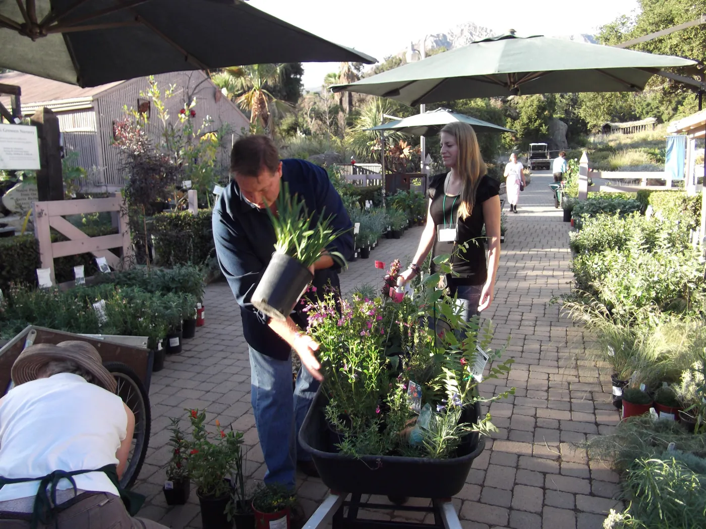 SBBG Fall Plant Sale 2010