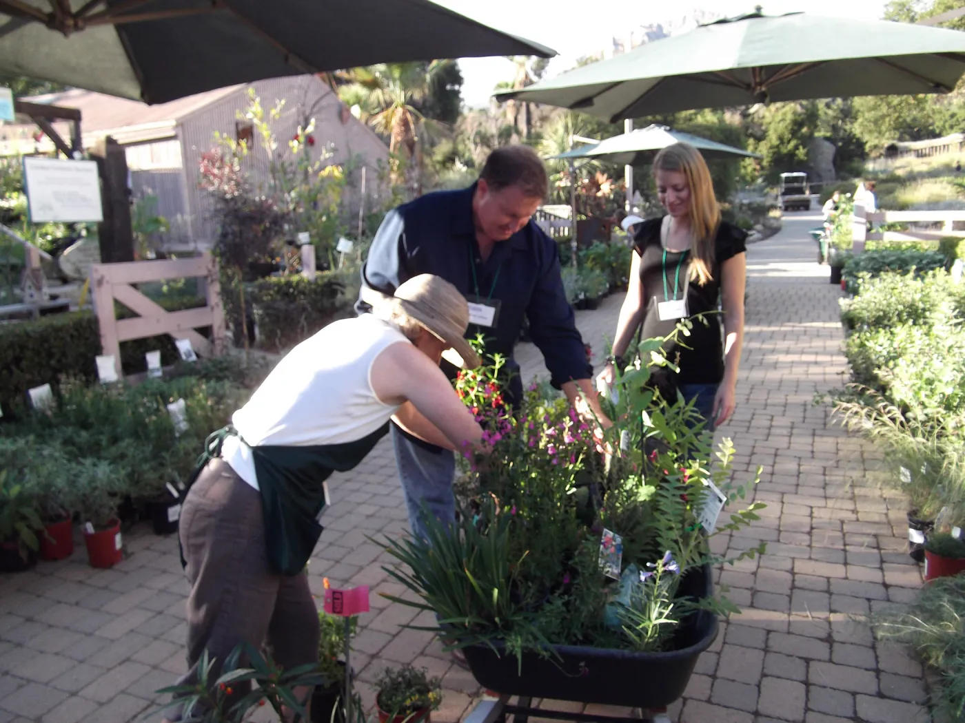 SBBG Fall Plant Sale 2010