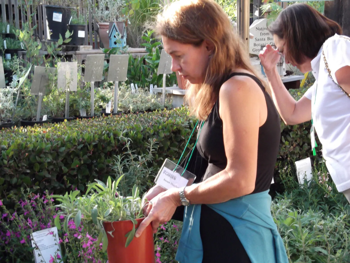 SBBG Fall Plant Sale 2010