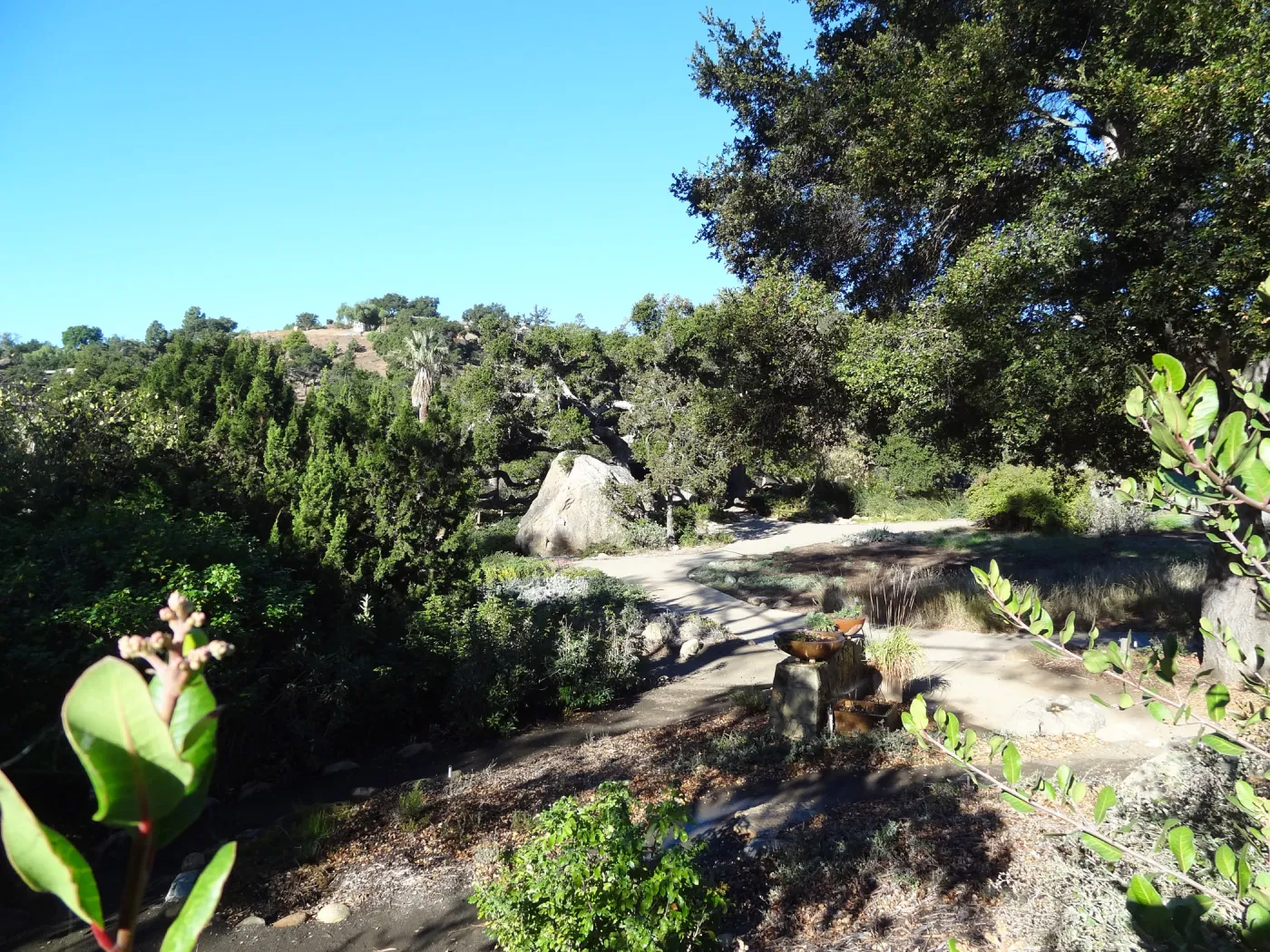 view to Blaksley Boulder from parking lot