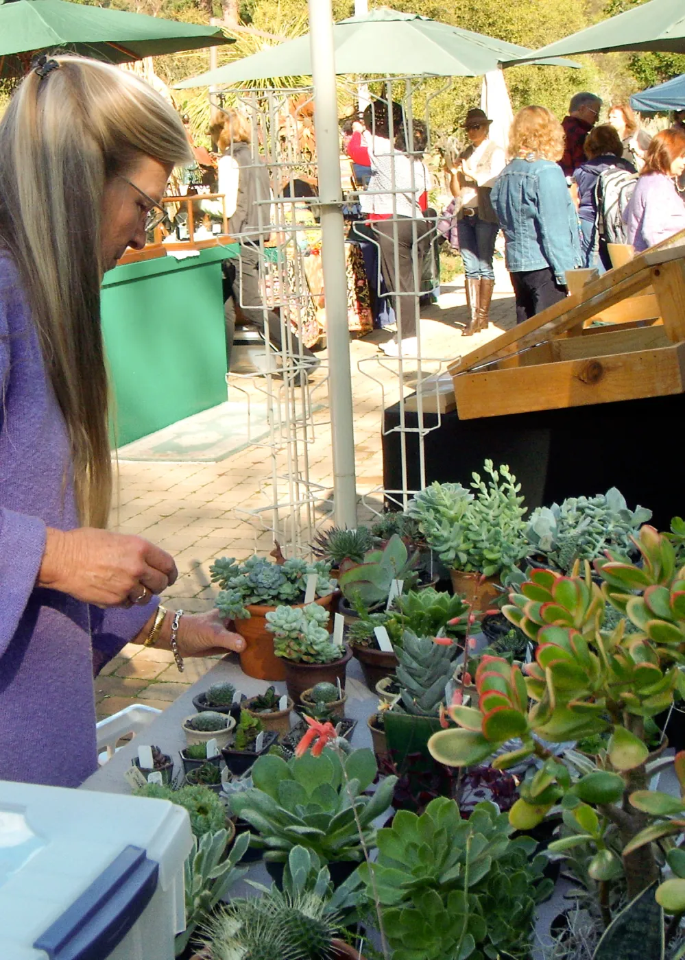 SBBG Holiday Marketplace, 2011