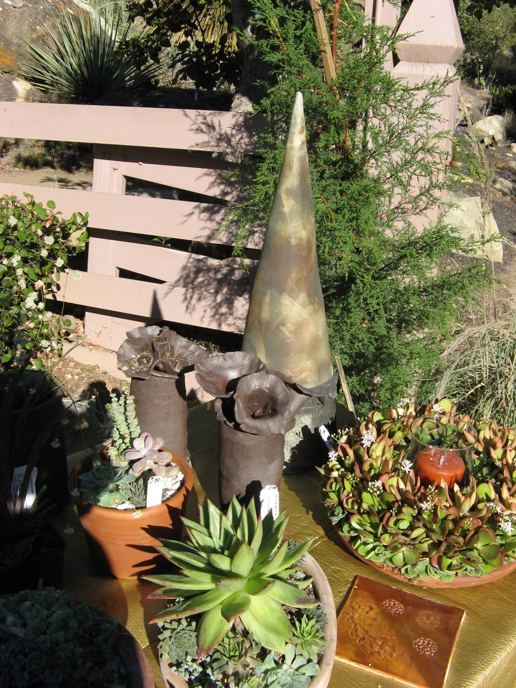 succulent dish gardens, SBBG Holiday Marketplace, 2006