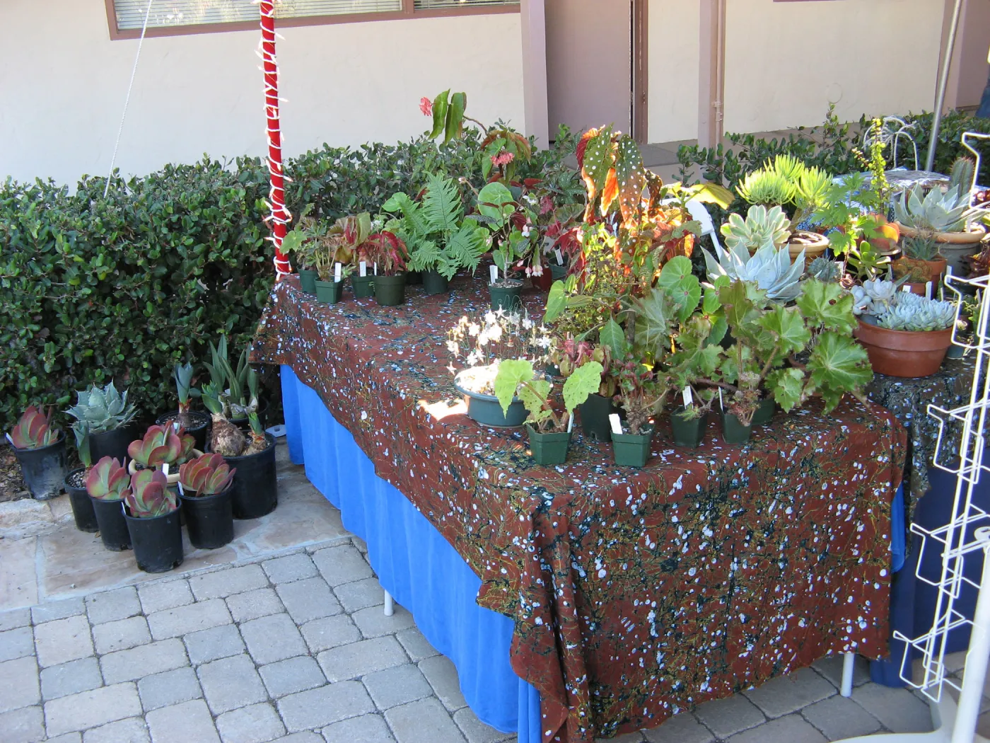 SBBG Holiday Marketplace, 2006