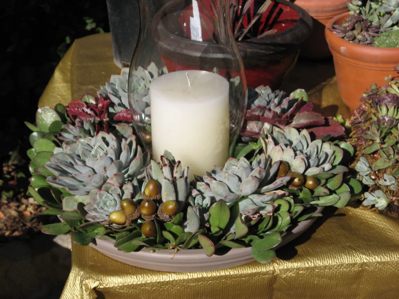 succuletnt centerpiece, candle, SBBG Holiday Marketplace, 2006