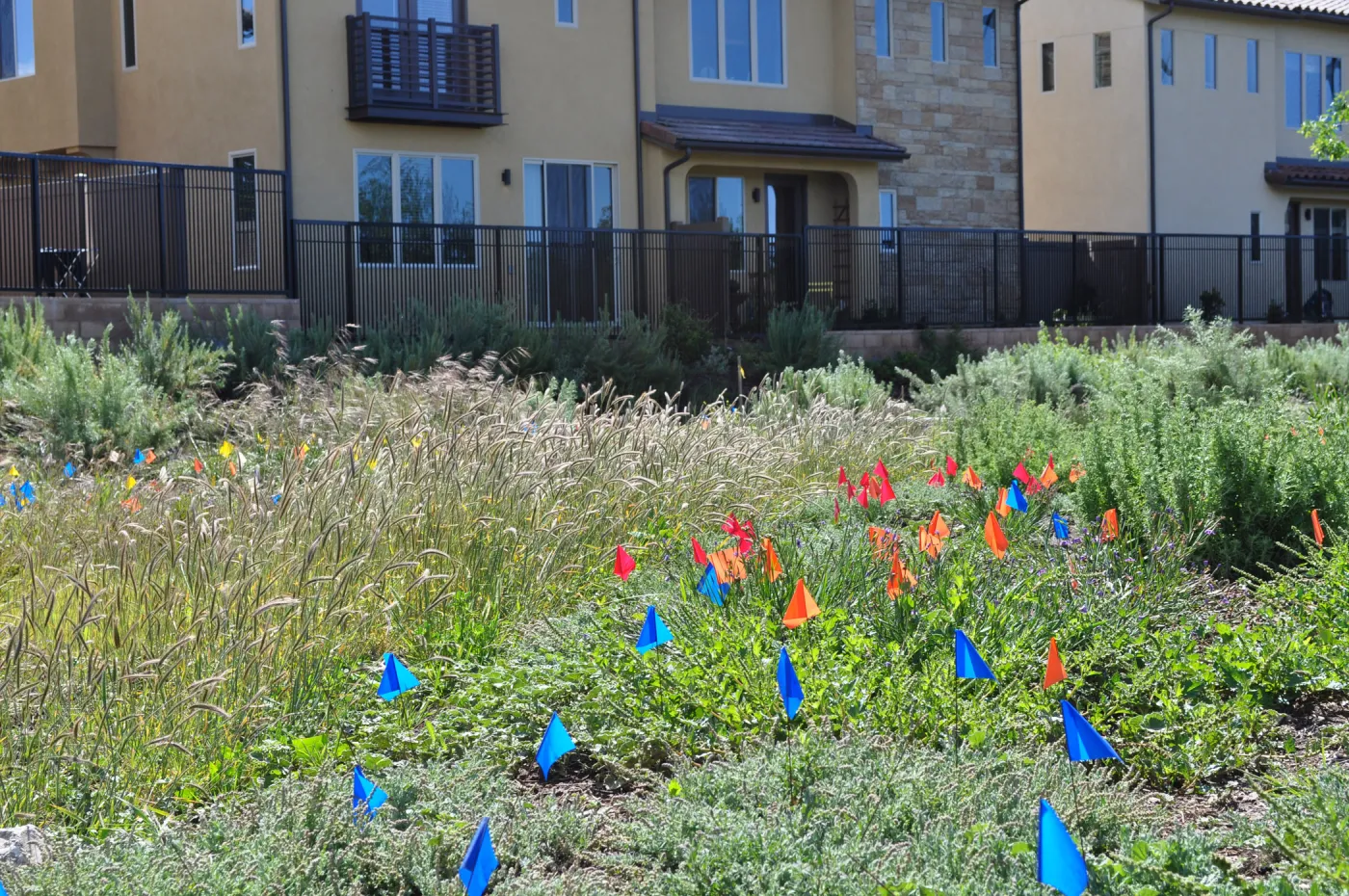 Native Plant Tour, UCSB North Parcel