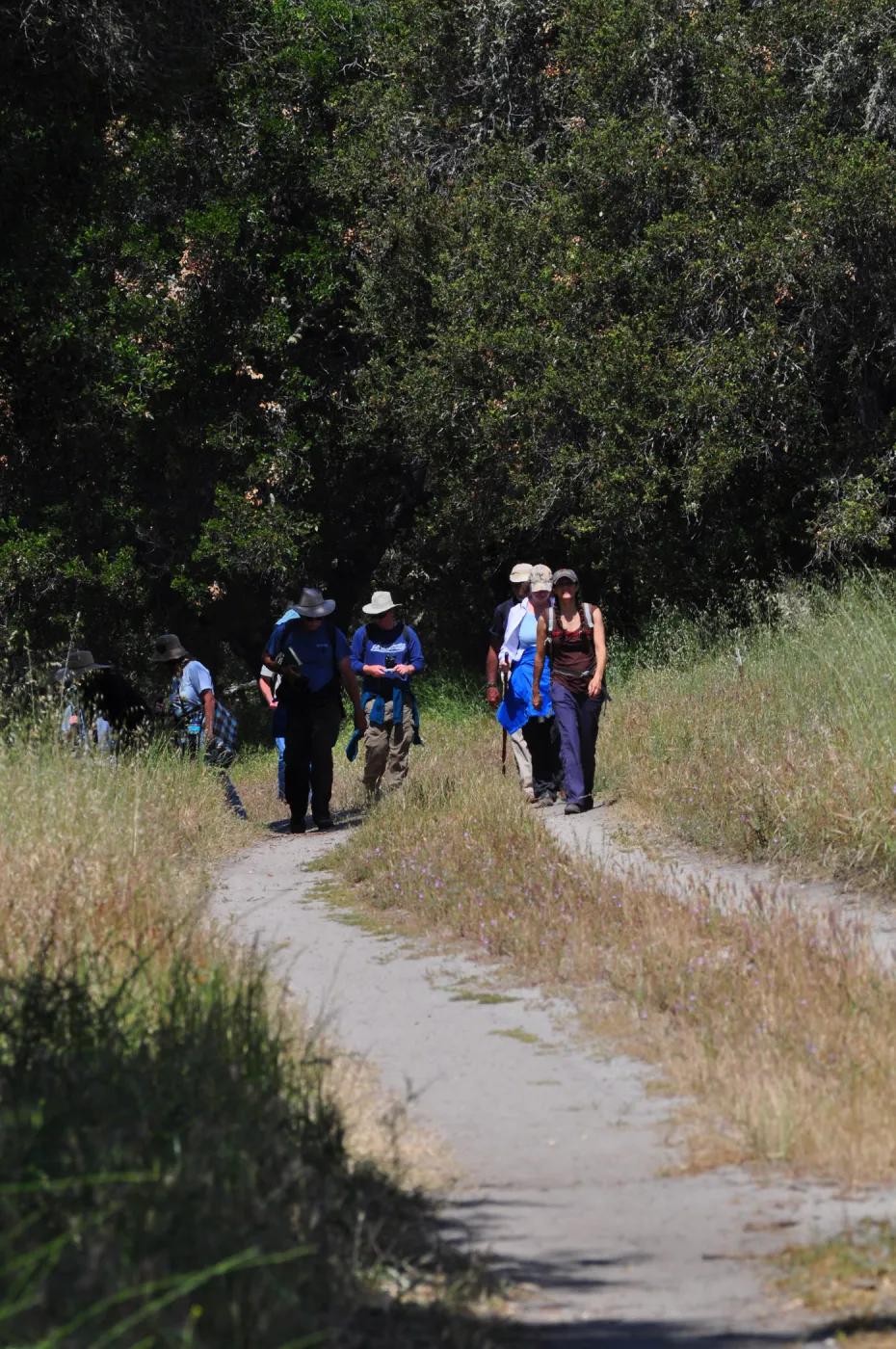 Garden field trip to Indian Knob, San Luis Obispo county