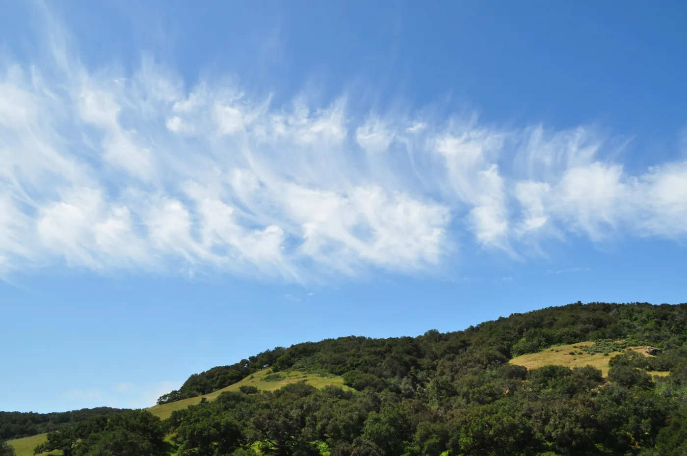 Garden field trip to Indian Knob, San Luis Obispo county