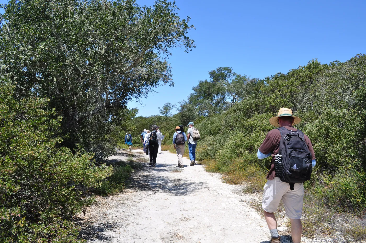 Garden field trip to Indian Knob, San Luis Obispo county