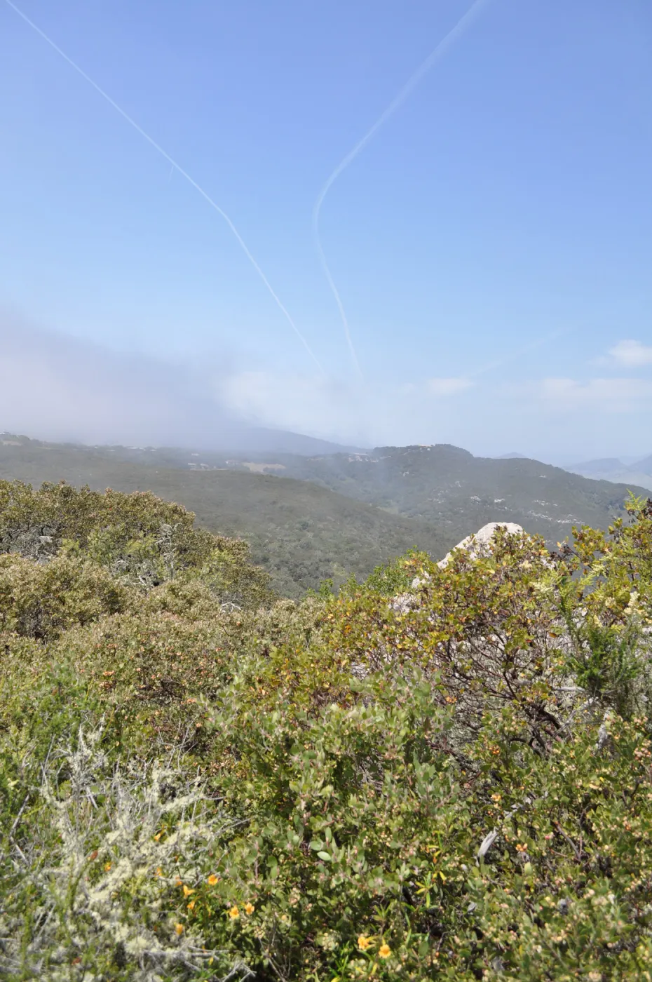 Garden field trip to Indian Knob, San Luis Obispo county