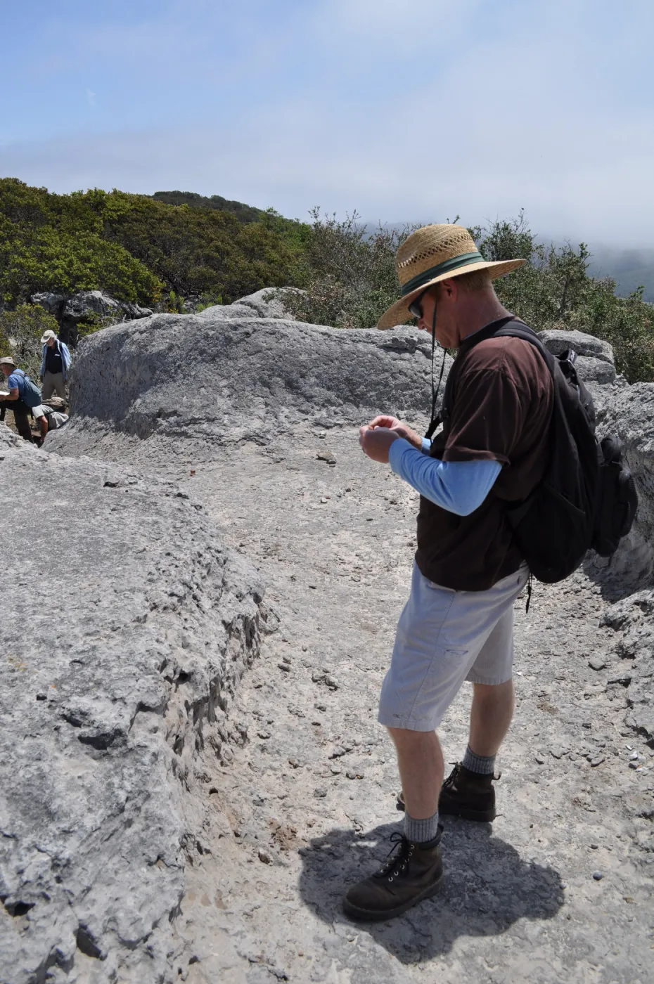 Garden field trip to Indian Knob, San Luis Obispo county