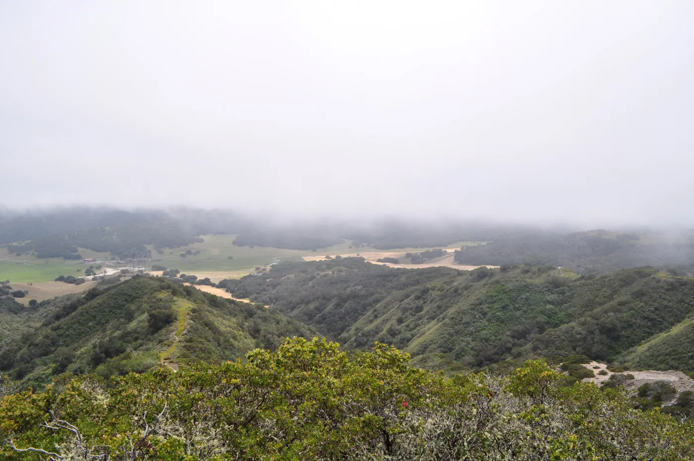 Garden field trip to Indian Knob, San Luis Obispo county