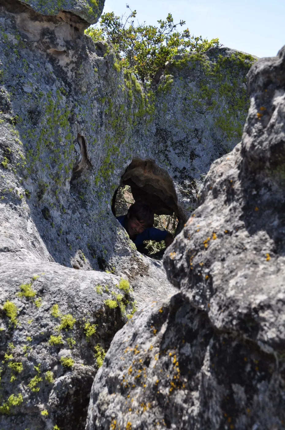 Garden field trip to Indian Knob, San Luis Obispo county