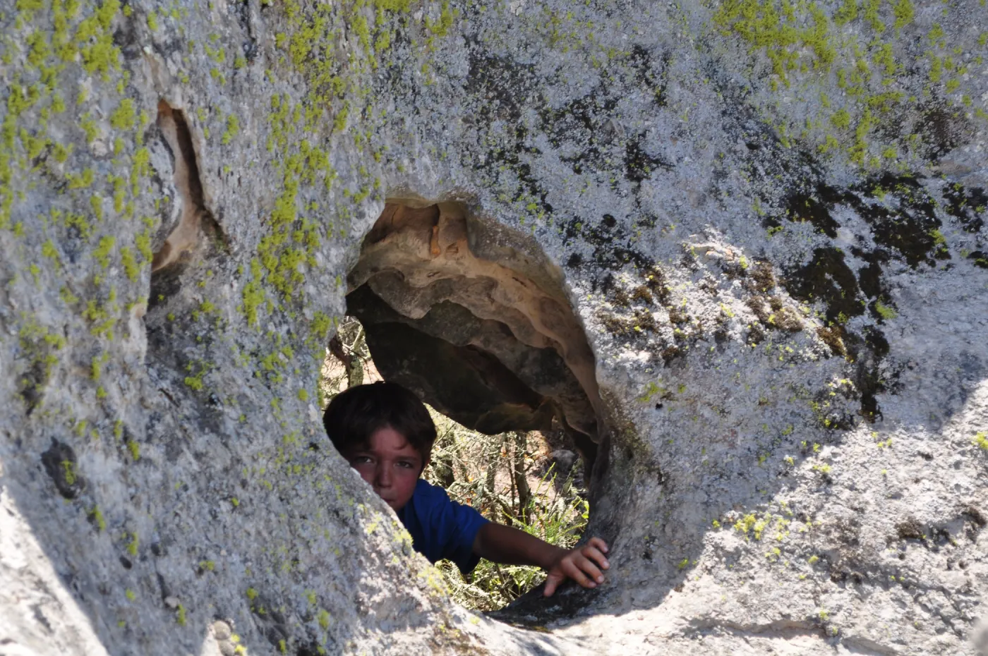 Garden field trip to Indian Knob, San Luis Obispo county