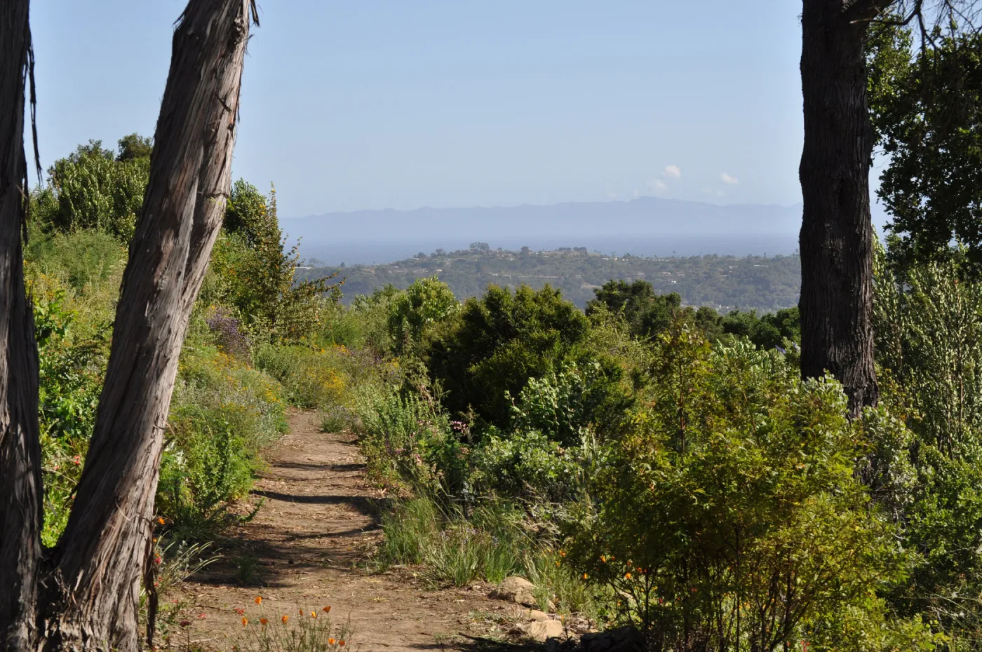 Porter Trail