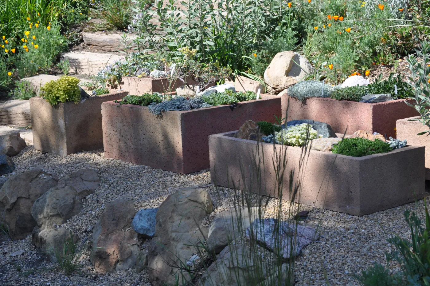 Trough garden in Meadow View
