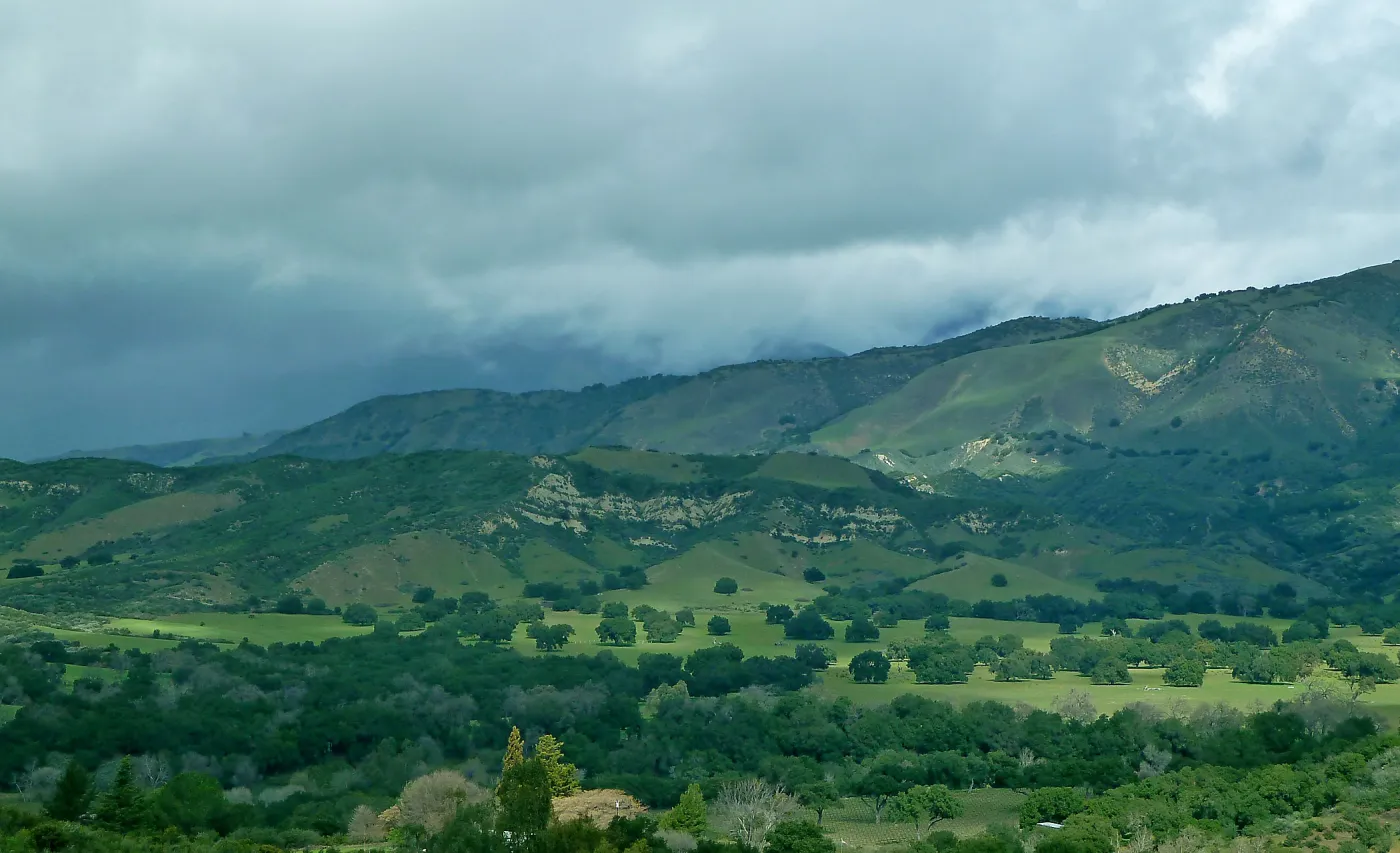 Santa Ynez Valley, Oak plateau, oak woodland, SBBG Photo Contest 2013