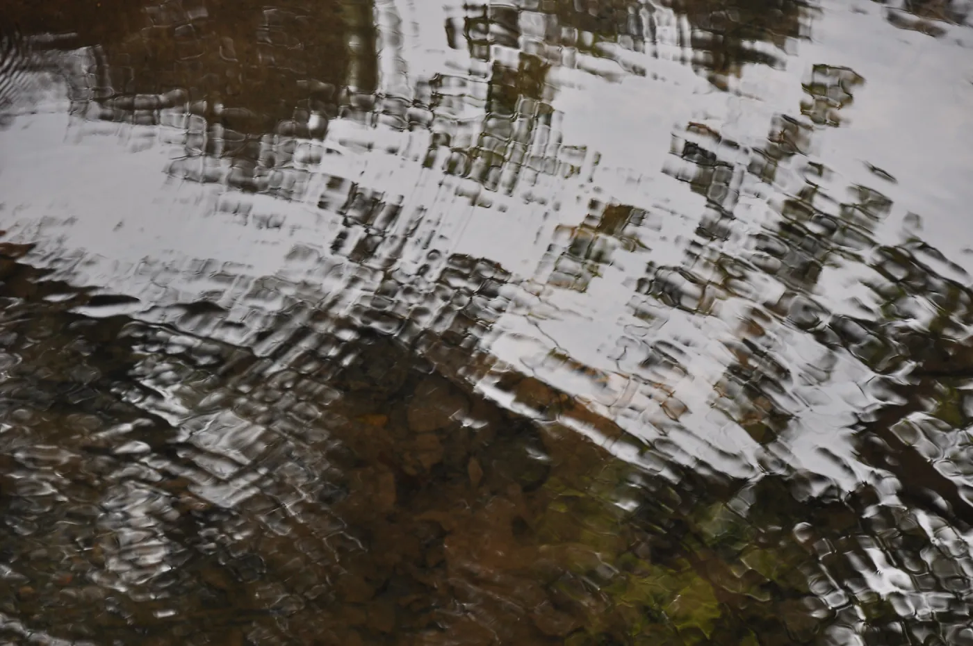 Pool below Mission Dam, SBBG Photo Contest 2013