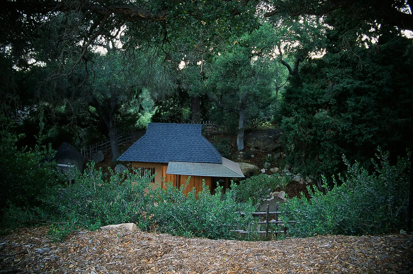 Tea House at the Garden, SBBG Photo Contest 2013
