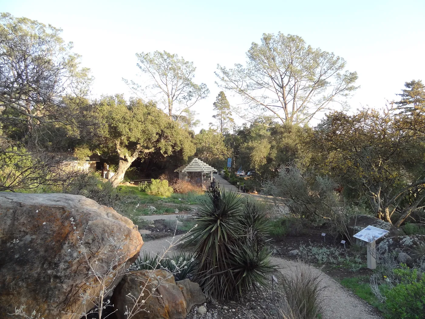Desert Section, view to Entrance Kiosk, Spring in the Garden, February 2013, SBBG