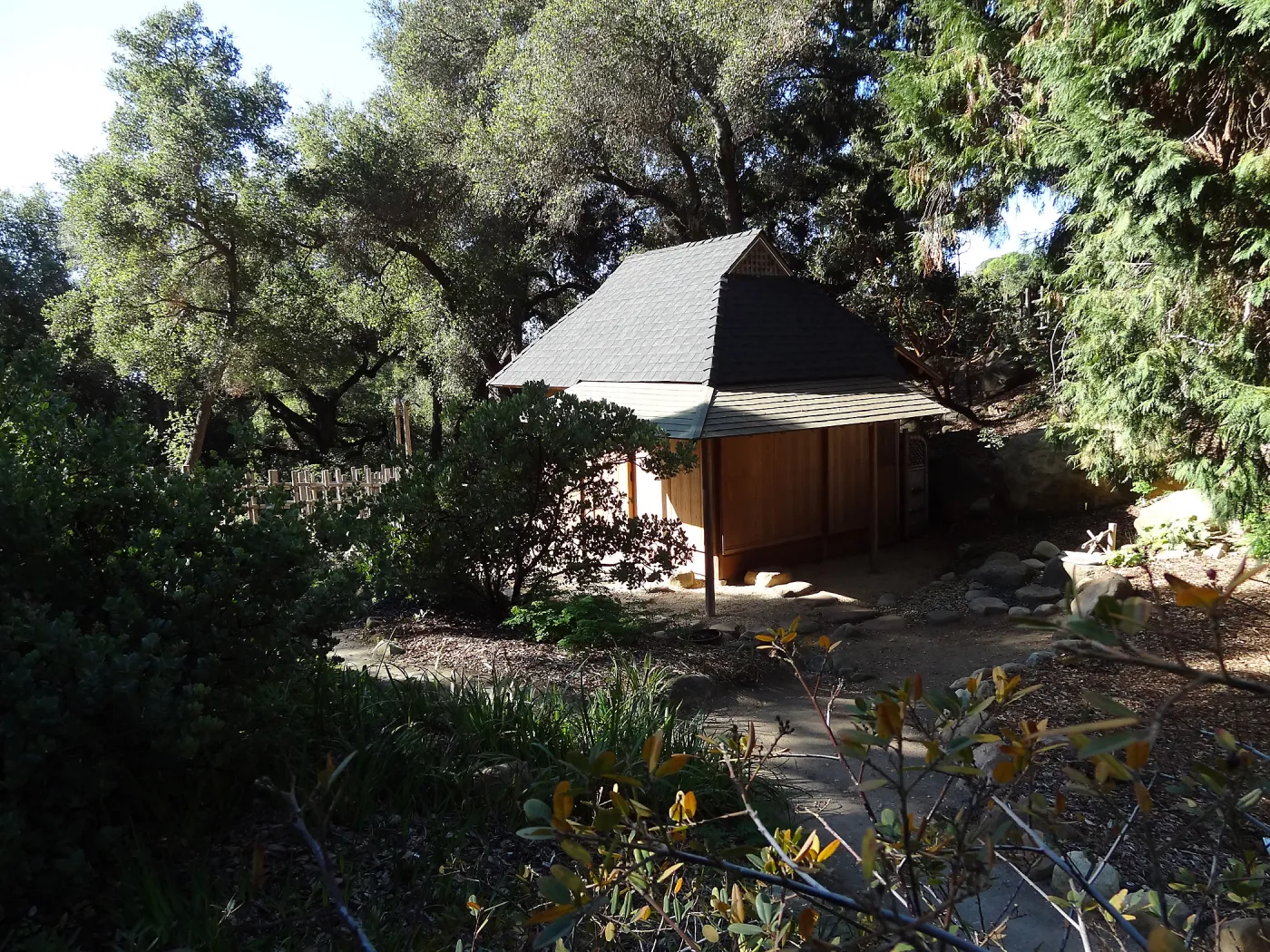 Tea House Display Garden, Spring in the Garden, February 2013, SBBG