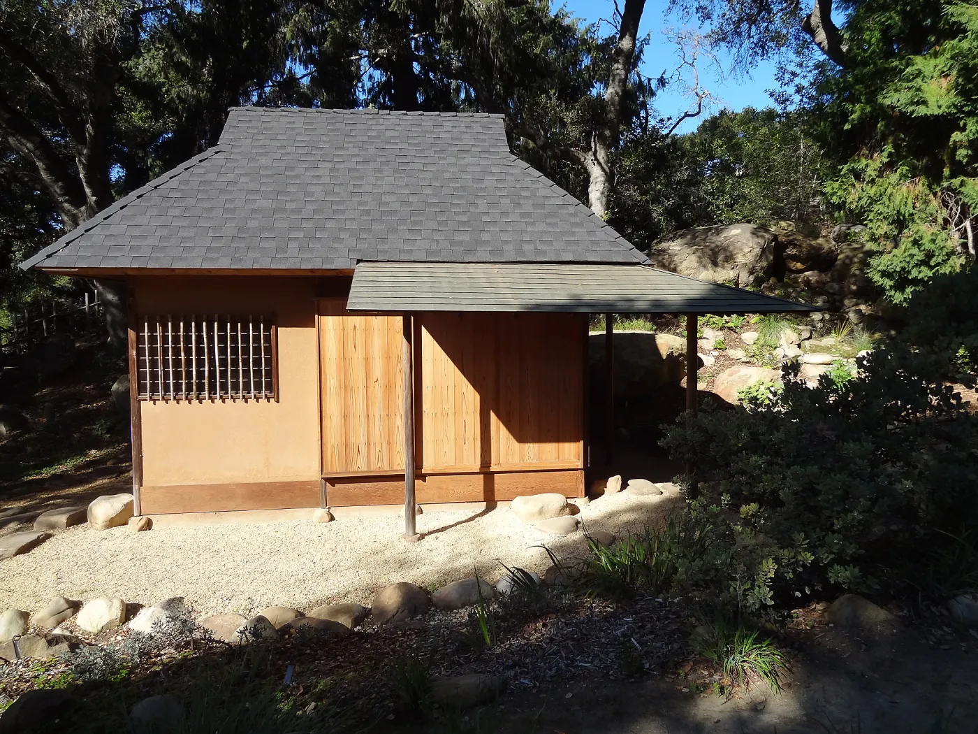 Tea House Display Garden, Spring in the Garden, February 2013, SBBG