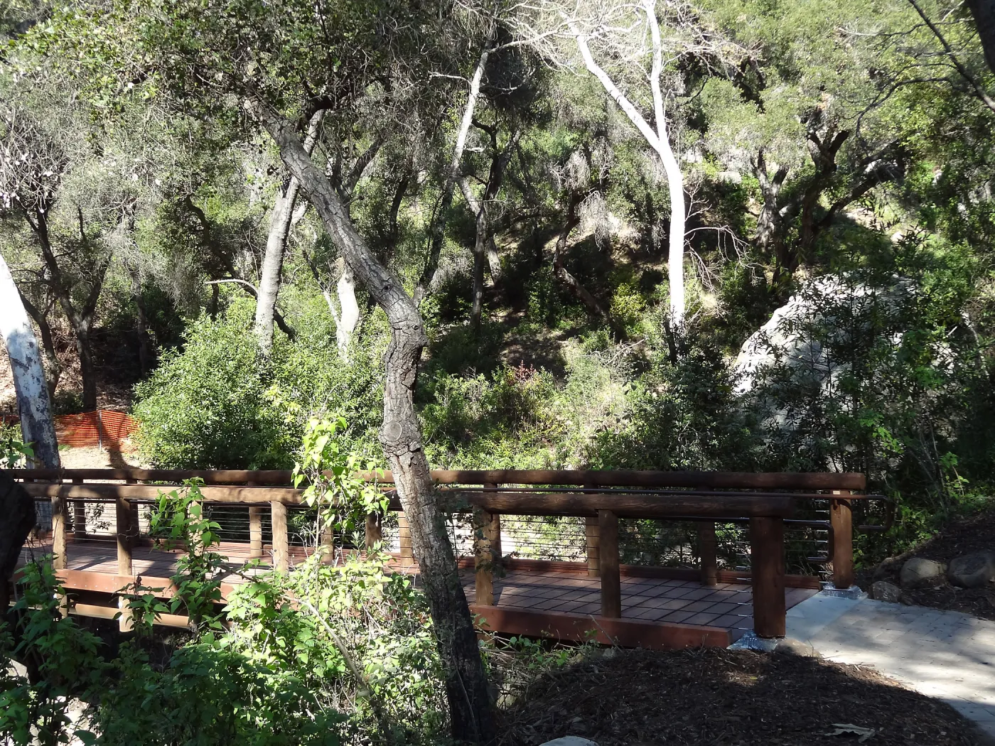 new Campbell Bridge, Mission Canyon, Spring in the Garden, February 2013, SBBG