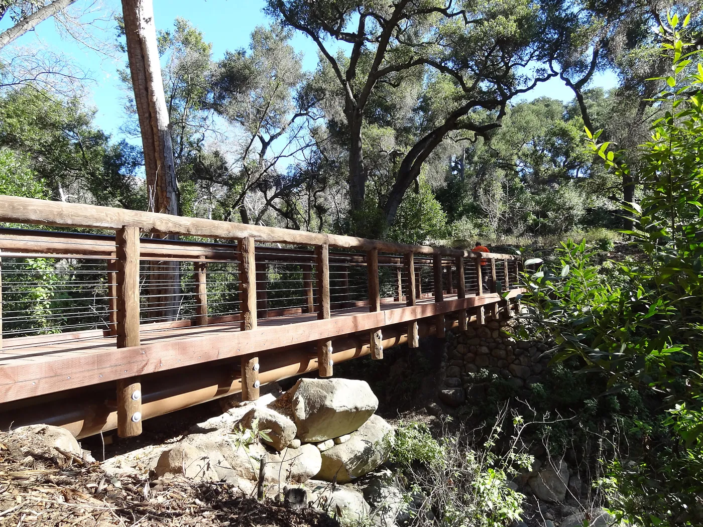 new Campbell Bridge, Mission Canyon, Spring in the Garden, February 2013, SBBG